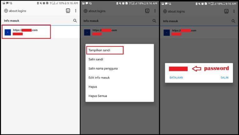 Amankah Menyimpan Password Di Browser (Chrome/Firefox)? Ini Jawabannya